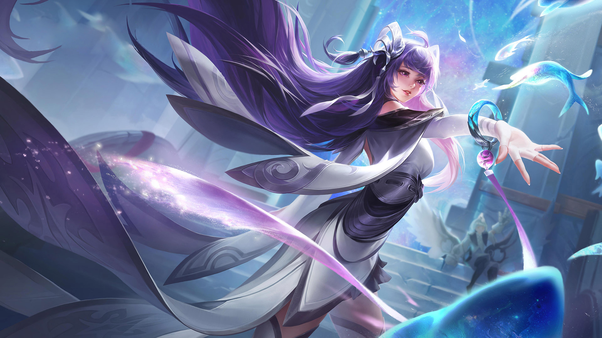 提供了新的 提供了新的