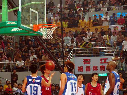 在组织上引 在组织上引